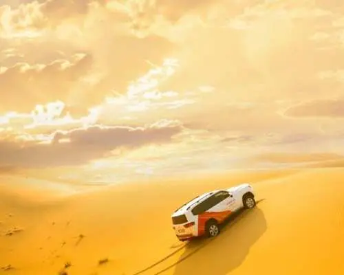 Morning desert safari with dune bashing, sandboarding, and camel ride
