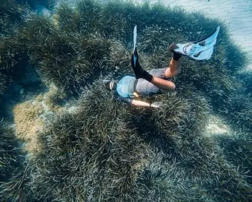 Majorca Guided Snorkelling Tour with Eco Island Adventure with Meeting Point