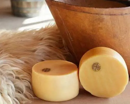Idiazabal Basque cheese tour from San Sebastian