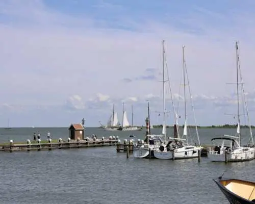 Volendam half-day tour with cheese, clogs and authentic village life
