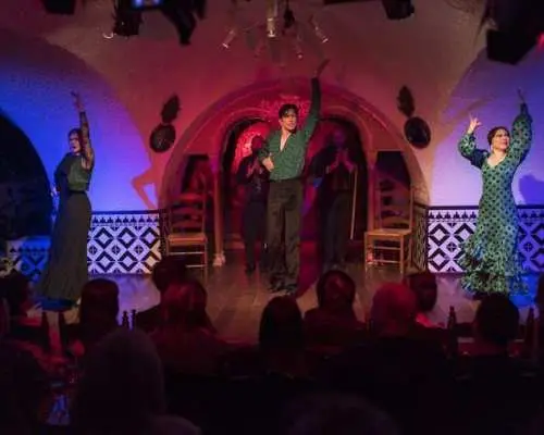 Flamenco show at Tablao Flamenco Cordobes with drink or dinner option