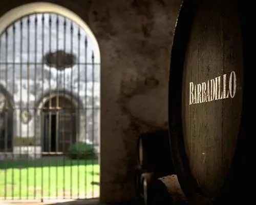 Winery tour with tasting of three wines in Sanlúcar