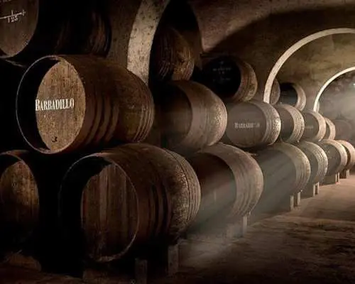 Winery tour with tasting of three wines in Sanlúcar