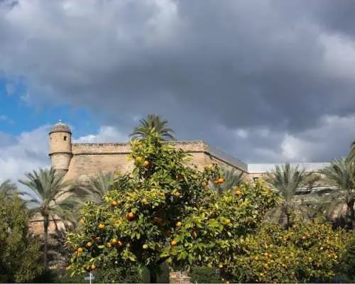 Palma de Mallorca: Small-Group Tour & Fast-Track Cathedral
