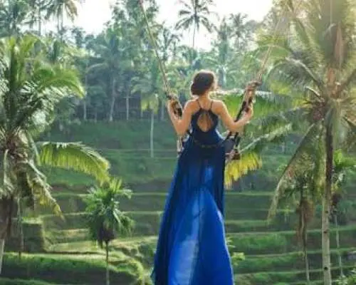 Monkey Forest, waterfall, rice terrace jungle swing private tour