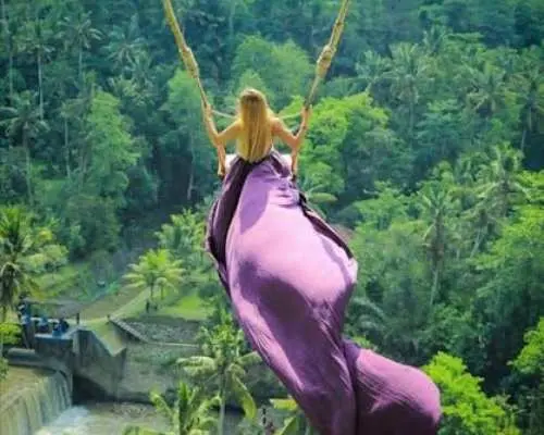 Monkey Forest, waterfall, rice terrace jungle swing private tour