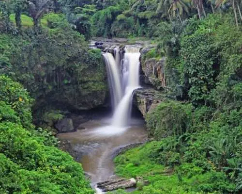 Private full-day best of Ubud tour with Jungle Swing