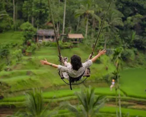 Private full-day best of Ubud tour with Jungle Swing