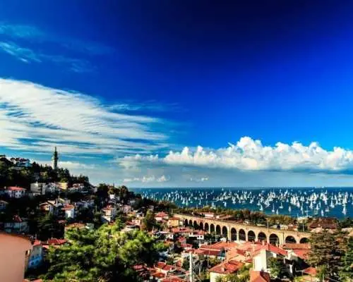 Half-day guided tour of Trieste with panoramic bus tour