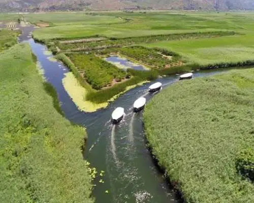 Boat ride through Croatia’s Neretva Delta with lunch