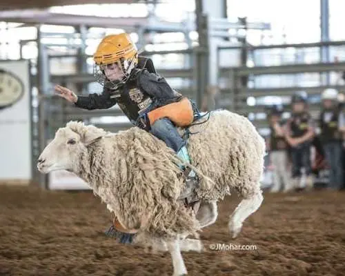 Saturday Night Rodeo General Admission Ticket