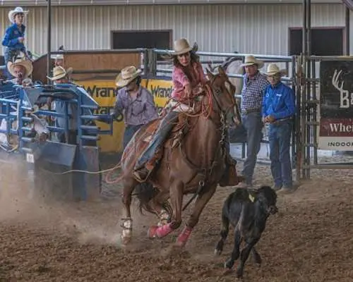 Saturday Night Rodeo General Admission Ticket