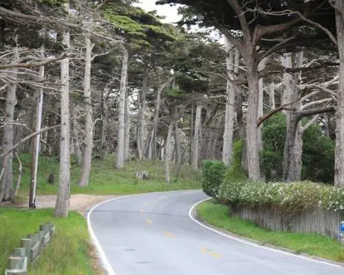 Self-Guided Audio Driving Tour of 17-Mile Drive