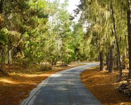 Self-Guided Audio Driving Tour of 17-Mile Drive