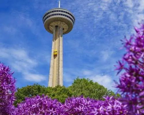 Guided food walking tour of Niagara Falls Canadian cuisine