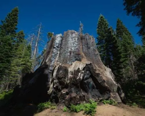 Sequoia and Kings Canyon National Park self-guided driving audio tour