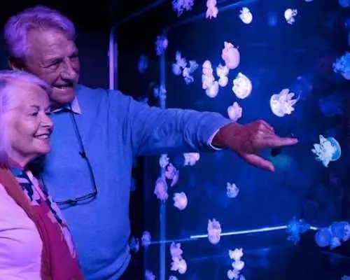 堪薩斯城海洋生物水族館門票