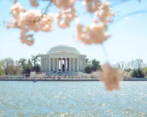 DC in a day with 10 monuments, cherry blossoms, and a boat cruise