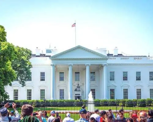 DC in a day with 10 monuments, cherry blossoms, and a boat cruise