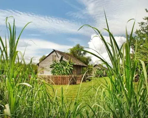 Whitney Plantation Tour