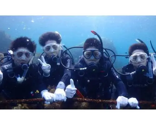 【静岡・熱海】プチリゾート初島の海で体験ダイビング！