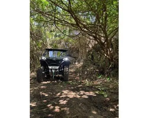 [Kumejima] First in Okinawa Prefecture! Great nature adventure tour by large buggy