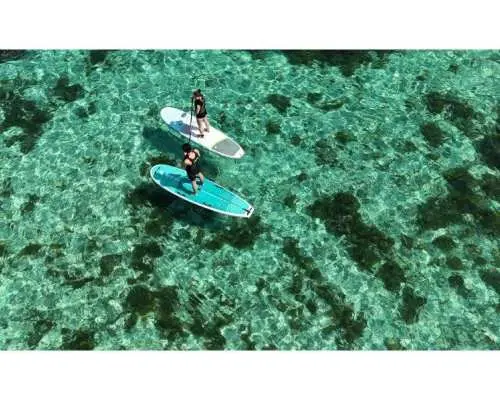 歡迎初學者！ ！ 【沖繩，恩納村】立槳衝浪之旅！體驗站在水上的夢想……何不嘗試呢？在超穩定的槳板上暢泳！