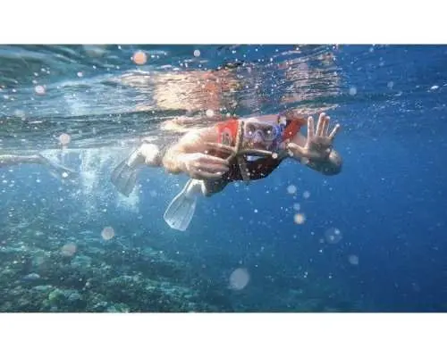 <July Limited SALE> [Northern Okinawa - Motobu ~ Sesoko Island ~ Minna Island - Island Snorkeling] Popular spots with exceptional water clarity! A full 2 ​​hours of snorkeling.