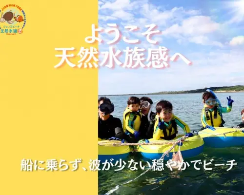 【沖縄 糸満から約15分｜1組貸切プライベート】海のテーマパーク・天然水族感でウミガメ＆100種以上の生物探索シュノーケリング｜初心者大歓迎