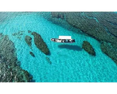 【沖縄・慶良間諸島】無人島でウミガメシュノーケリング&スキンダイビング★小さなお子様連れでも安心♪