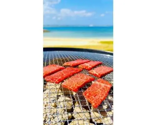 A super-value special plan that includes a full day of fun and marine activities, complete with BBQ!