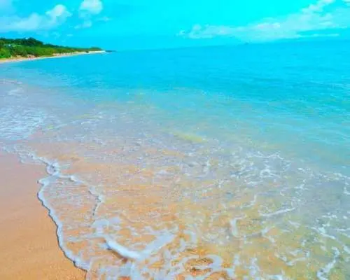 [Southern Okinawa] Traditional seawater tofu making, sea activities, eco-tour