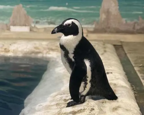 Shin-Sapporo Sunplaza Aquarium: Dark Night Watching 2026