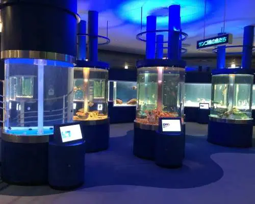 Shin-Sapporo Sunplaza Aquarium: Dark Night Watching 2026