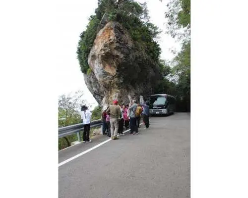【沖縄・国頭村】「世界自然遺産」源点の森と「琉球の神話」の集落を巡るウォーキングツアー