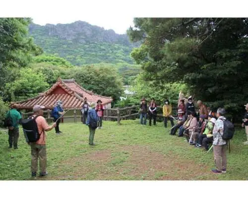 【沖縄・国頭村】世界自然遺産やんばる｜辺戸岬〜宜名真集落「山・水・海の循環」を歩くガイドツアー