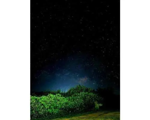 [Miyako Island | Pick-up and drop-off available, same-day booking OK] Small group jungle & stargazing night tour | Free coconut crab hunting and stargazing photos | No cancellation fee up to 2 hours before the tour!