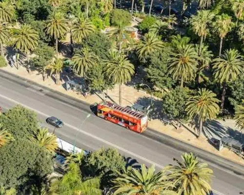 City Sightseeing Malaga Experience with 24-hour hop-on hop-off bus