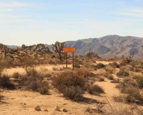 Audio-Guided Driving of the Joshua Tree National Park