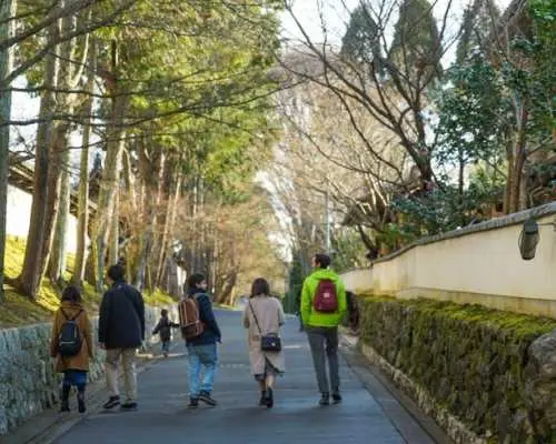 京都の禅寺での禅瞑想と庭園ツアー