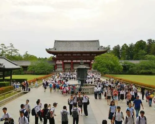 大阪発、姫路・奈良・神戸日帰りツアー