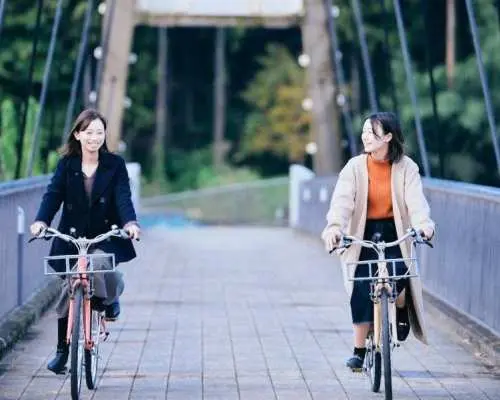 [Tokyo, Musashi-Itsukaichi] (English Tour) "Tokyo's Clear Streams and Hidden Gems" Guided Tour: Enjoy the Akigawa Valley with electric cycling and river trekking!