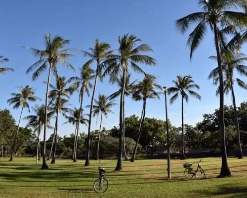 Big Bus tour of Darwin