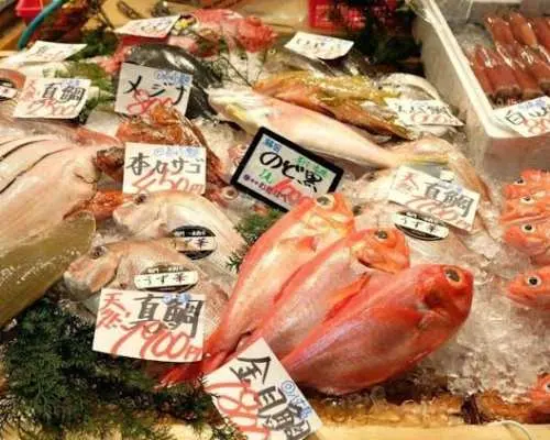 Tokyo's Tsukiji Fish Market guided tour