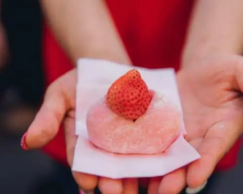 Tokyo's Tsukiji Fish Market guided tour