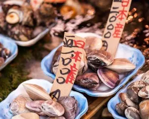 Tokyo's Tsukiji Fish Market guided tour