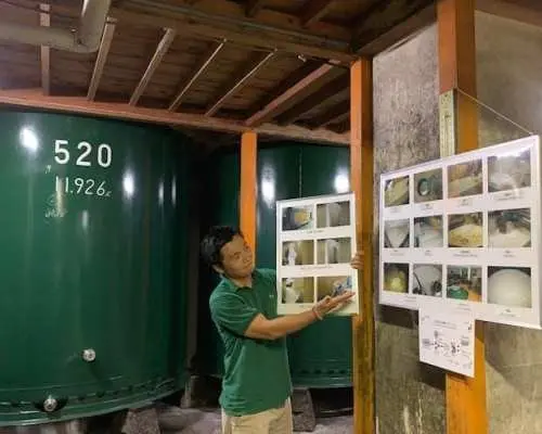 高山にある歴史ある酒蔵で本格的な日本酒の試飲体験