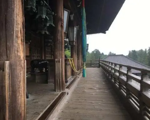 奈良半日徒步之旅