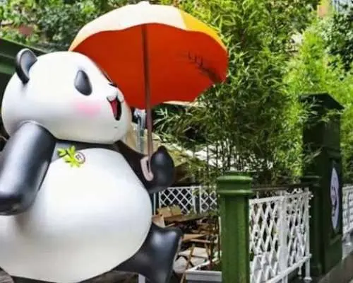 A Panda-themed adventure for families