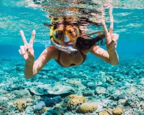 棕櫚樂園雙體船浮潛探險